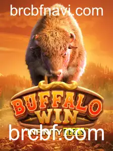 Descubra o Mundo do BuffaloWin: Uma Introdução e Regras do Jogo